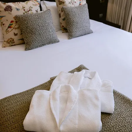 コンデ デ アゲダ ホテル Águeda