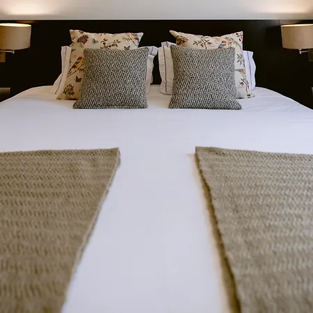 Conde De Hotel Águeda
