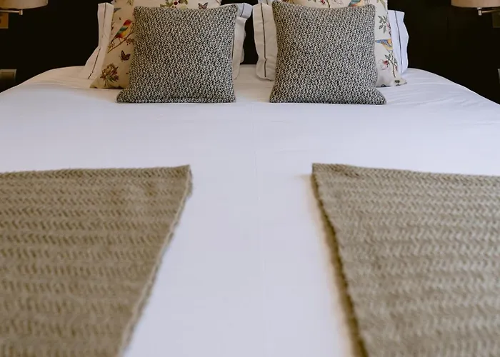 コンデ デ アゲダ ホテル Águeda