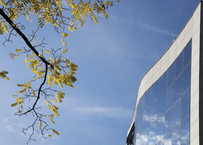 コンデ デ アゲダ