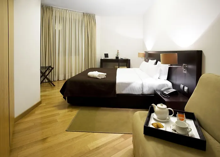 コンデ デ アゲダ ホテル 4*