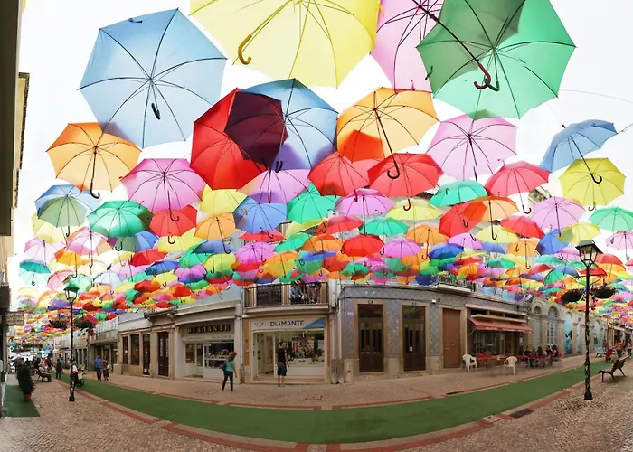 コンデ デ アゲダ ホテル Águeda